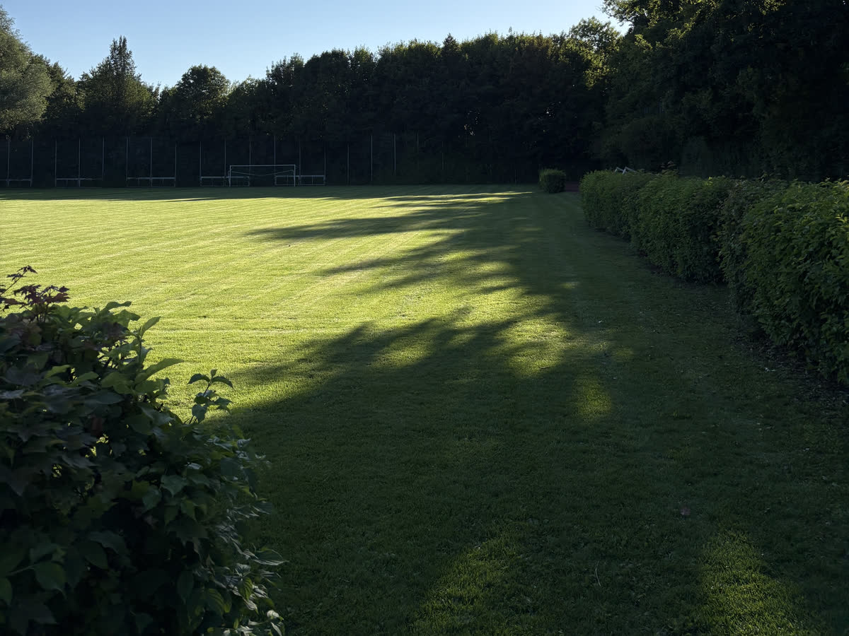 Kurz gemähter Sportplatz mit Tor und Baumreihe
