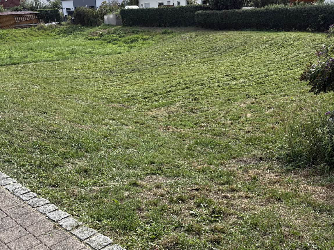 Dieselbe Wiese nach dem Mähen, kurz und gleichmäßig